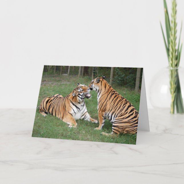 Cartão TigerFriends 007 (Frente)