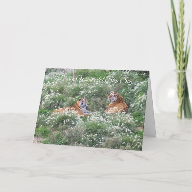Cartão Tigers Step Son Birthday (Frente)