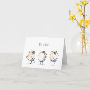 Cartão Tight Pants best of luck pug card