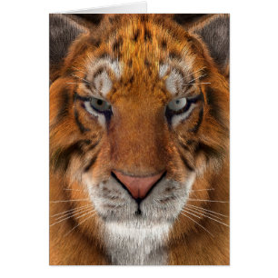 Cartão Tigre