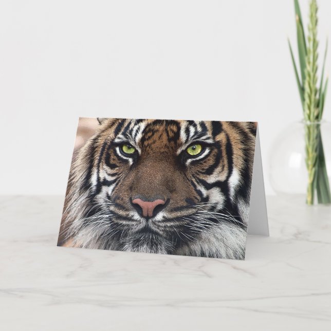 Cartão Tigre (Frente)