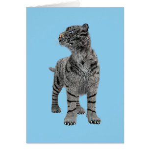 Cartão Tigre Branco