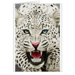 Cartão tigre branco