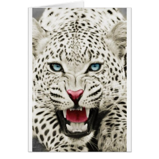 Cartão tigre branco