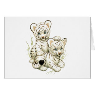 Cartão Tigre Cubs branco bonito