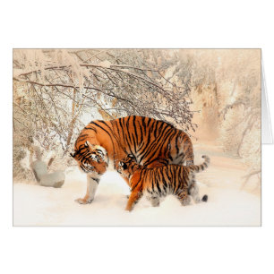 Cartão Tigre e Cub da mãe nas madeiras nevado
