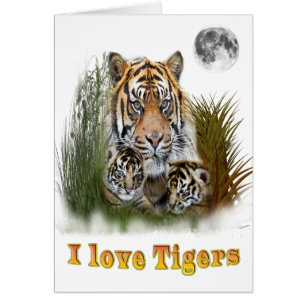 Cartão Tigre e filhotes