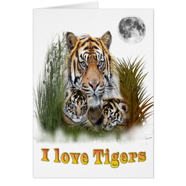 Cartão Tigre e filhotes (Frente)