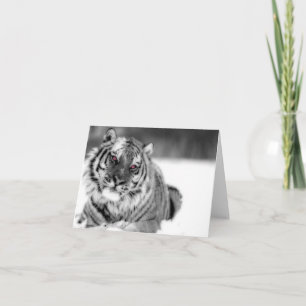 Cartão Tigre Olhado Rosa