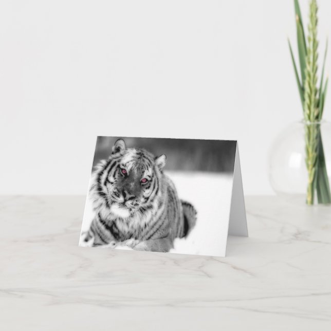 Cartão Tigre Olhado Rosa (Frente)