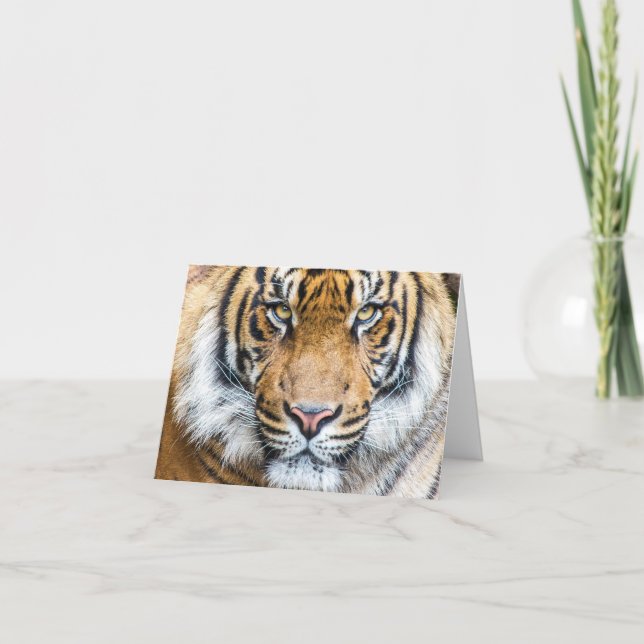Cartão Tigre Personalizado Nome Feliz Aniversário (Frente)