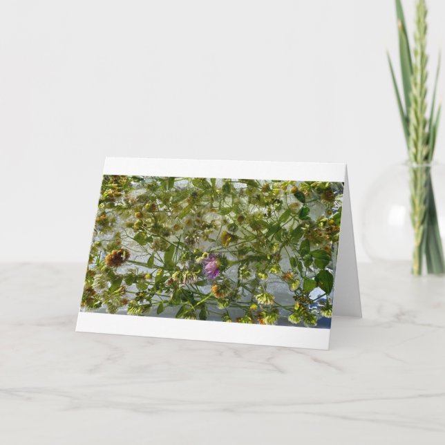 Cartão Tijolo e trevo Forçados, (Frente)