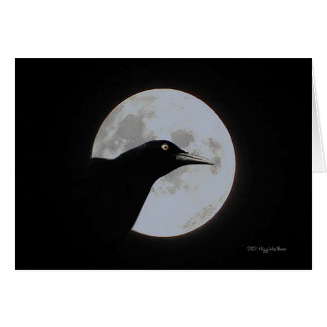 Cartão Timour (Frente horizontal)