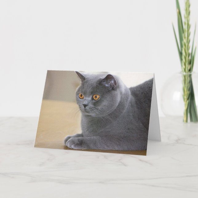 Cartão Tinkerbelle (Frente)