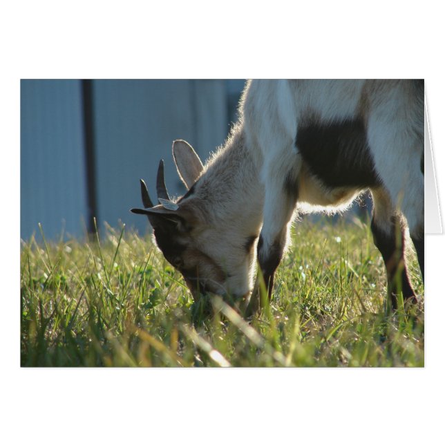 Cartão Tinta (Frente Horizontal)