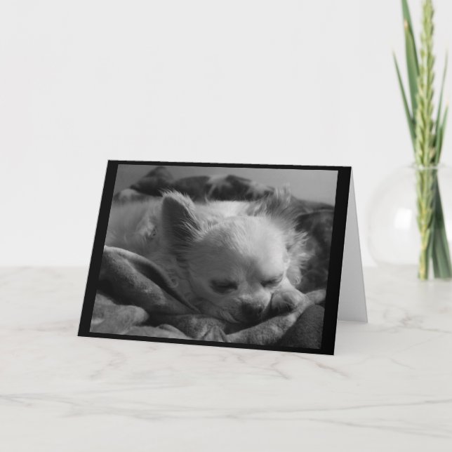Cartão Tiny Dreamer - Blank Greeting Card (Frente)