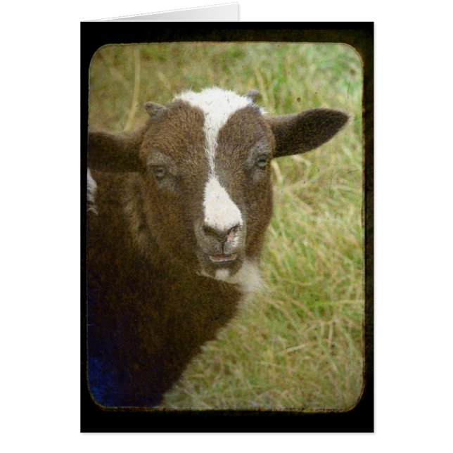 Cartão Tiny está crescendo (Frente)