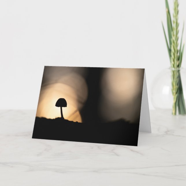 Cartão Tiny Mushroom Nature Foto (Frente)