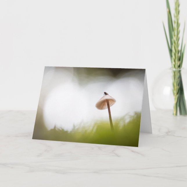 Cartão Tiny Mushroom Nature Foto (Frente)