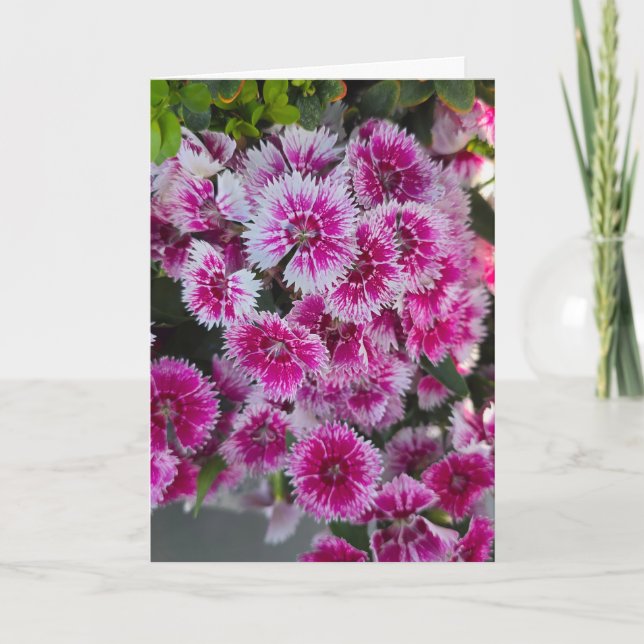 Cartão Tiny Pink Flowers Blank Notecard (Frente)