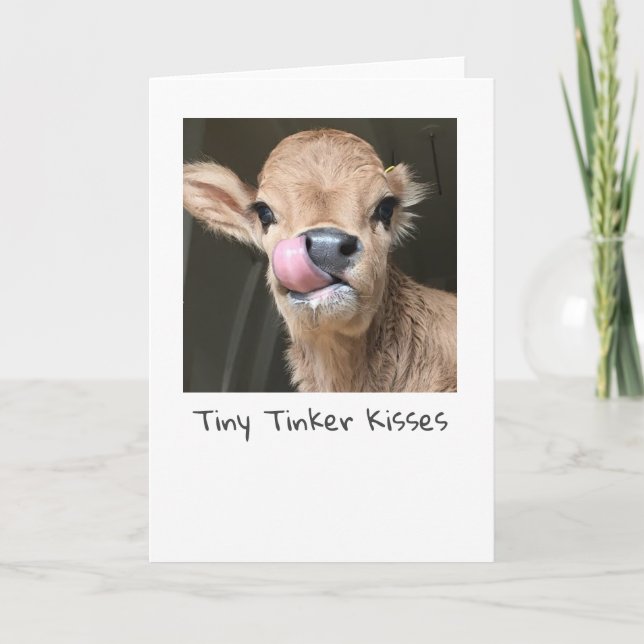Cartão Tiny Tinker Cow Kisses Card (Frente)