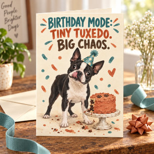 Cartão Tiny Tuxedo Grande Caos Aniversário Boston Terrier