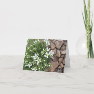 Cartão Tiny White Wildflowers and Rocks Notecard
