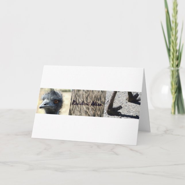 Cartão Típico de Alienígena residente (Frente)