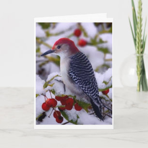 CARTÃO TIRANDO O QUEBRA DE TWEETING PARA DIZER FELIZ ANIV