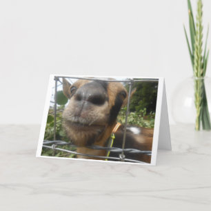 CARTÃO TIRE-ME PARA QUE EU POSSA DESEJAR QUE VOCÊ FELIZ A