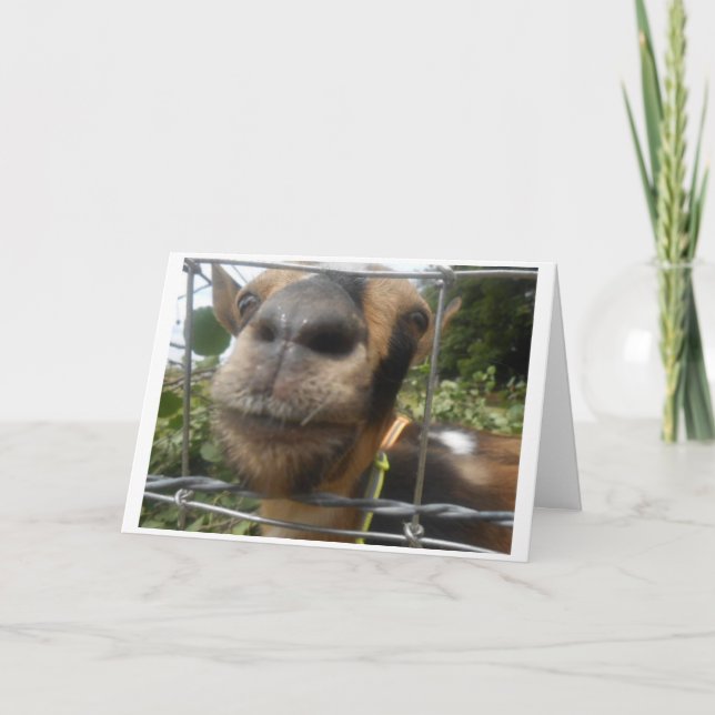 CARTÃO TIRE-ME PARA QUE EU POSSA DESEJAR QUE VOCÊ FELIZ A (Frente)