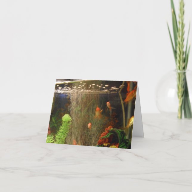 Cartão Tire uma placa de imagem (Frente)