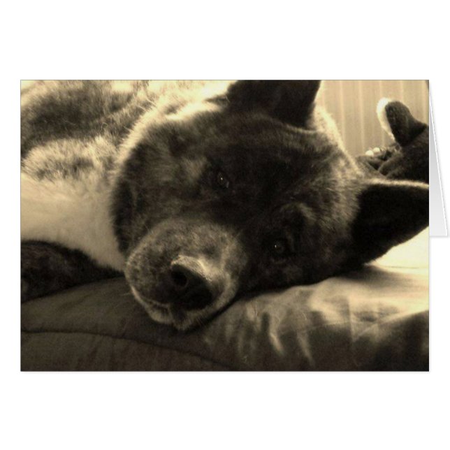 Cartão Tired Inca (Frente Horizontal)