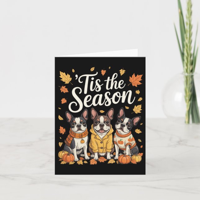 Cartão Tis The Season Boston Terrier Fall Autumn Pumpkin  (Frente)