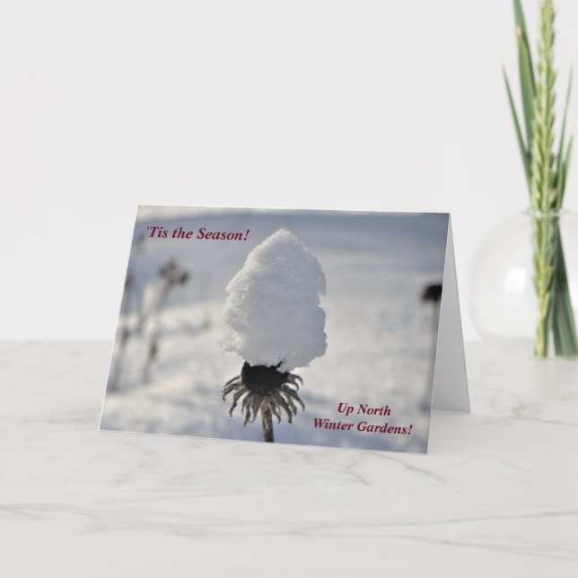 Cartão 'Tis the Season . . . Up North Winter Gardens (Frente)