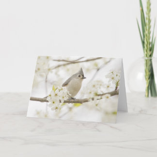 Cartão Titular tufado em árvore de pera