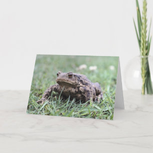 Cartão Toad Notecard