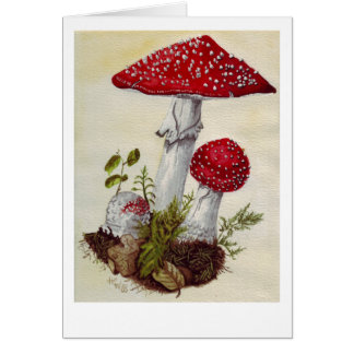 Cartão Toadstool