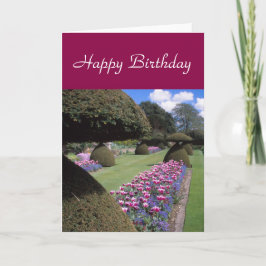 Cartão Toadstool-topiary card