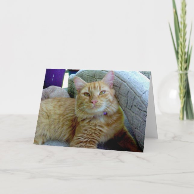 Cartão Toby the Cat Greeting Card (Frente)