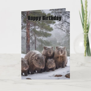 Cartão Toca Congelada: Família de Wombats Australianos, C