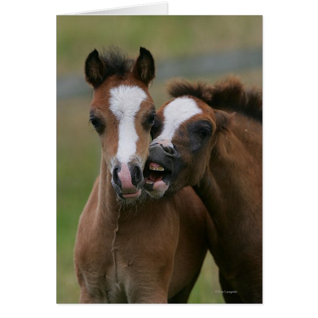 Cartão Tocar Pés (Frente)