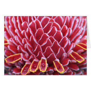 Cartão Tocha Gengibre dos reis