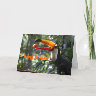 Cartão Toco Toucan Birthday Card