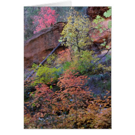 Cartão Todas as cores