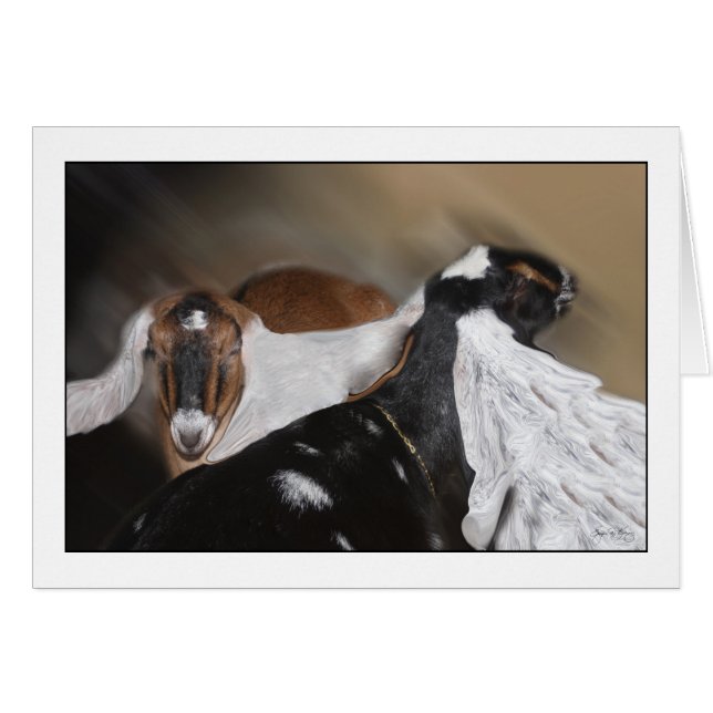 Cartão Todas as Orelhas (Frente Horizontal)