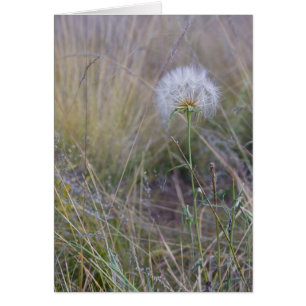 Cartão Todas as pequenas coisas