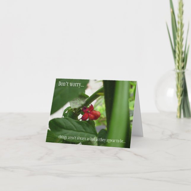 Cartão Todas as Simpatias de Ocasião (Frente)