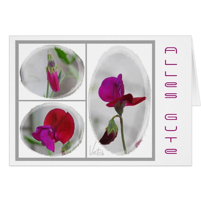 Cartão Todo Gute (Frente Horizontal)