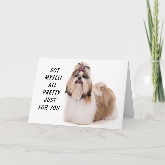 CARTÃO **TODOS BONITO PARA O SEU ANIVERSÁRIO** (Frente)